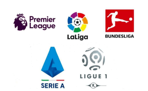 泳锦标赛 泳锦标赛